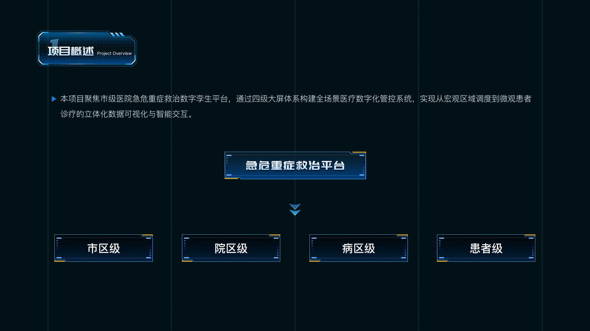 项目概述原稿：急危重症救治平台分为市区级、院区级、病区级和患者级四个观察层级